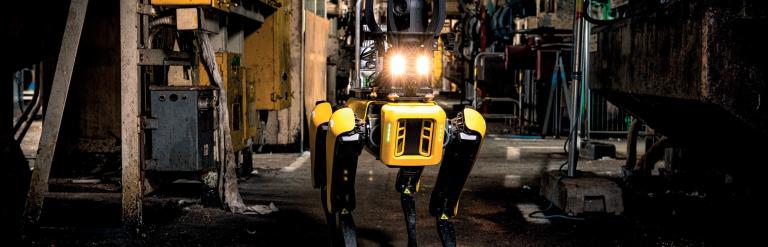 Spot the dog at the Calder turbine hall trials